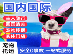 阿坝红原国际宠物托运 【国